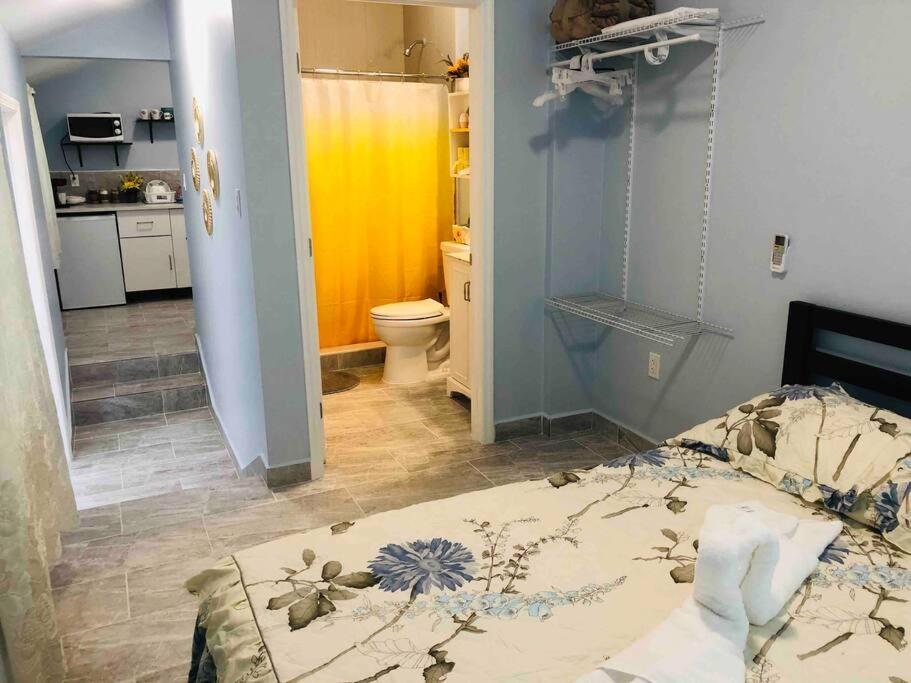 New Luxurious Studio Private In The Heart Of Miami Esterno foto