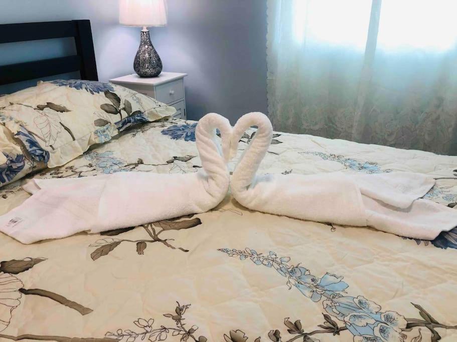 New Luxurious Studio Private In The Heart Of Miami Esterno foto