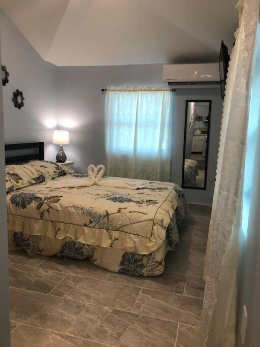 New Luxurious Studio Private In The Heart Of Miami Esterno foto