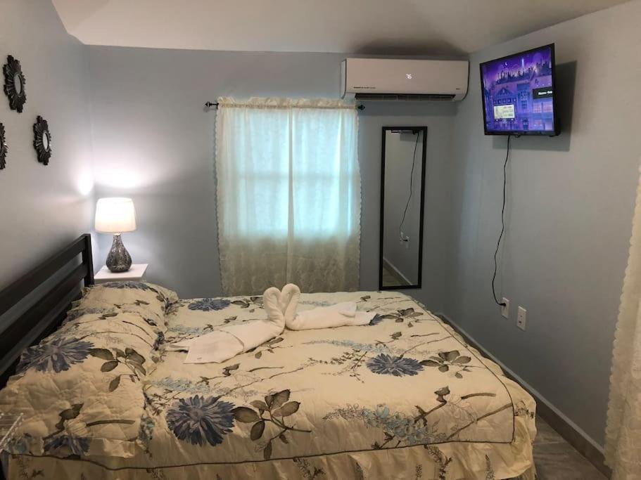 New Luxurious Studio Private In The Heart Of Miami Esterno foto